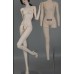 Super Model 2.0 girl Doll Body LIMITED【Fanff】BJD SD16 1/3 size 62cm girl doll body