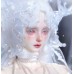 Echo doll HEAD LIMITED【DollZone】DZ BJD SD17 doll head 68-70cm girl doll use