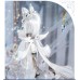 Huifre fox fairy ELF doll full-set LIMITED【TinyFox】1/6 YO-SD size angel doll BJD 28cm BJD doll